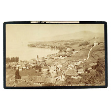 Montreux Switzerland & Lake Geneva Photo c1885 Righi Vaudois Cabinet Card B3487 picture
