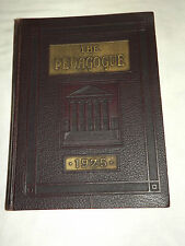 VINTAGE 1925 STATE UNIVERSITY OF ALBANY NEW YORK SUNY SIGNED  ALUMNI YEARBOOK picture