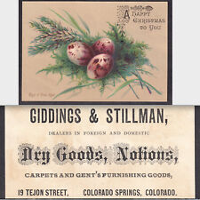 Colorado Springs 1880's Giddings & Stillman Dry Goods 19 Tejon St Christmas Card picture