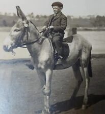 RPPC Man On Donkey Belfast, Maine Admiral Don Bobbins Belfast's Little Man picture