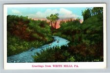 White Mills PA-Pennsylvania, Scenic Greetings, Vintage Postcard picture