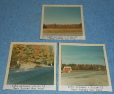 3 1965 Hummel Family Photos Route 41 Near Turkey Run State Park Parke Indiana picture