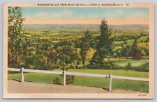 Windham Valley Catskill Mountains New York Vintage Linen Postcard picture