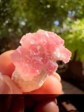 Pink Calcite with Mesolite, Moldy Raspberry Pocket, MP, INDIA  (CMRP00308) picture