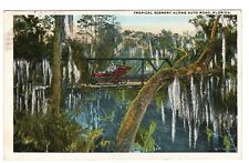 Postcard  FL Tropical Scenery Along Auto Road Classic Car ca. 1915 Antique picture