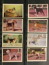 1957 Premiere (Oak Manufacturing) Popular Dogs Set of 42 Cards NM R724-4 Sku918 picture