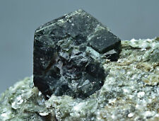 Rare Terminated Dravite Tourmaline Crystal With Sapphire On Green Mica 500 Gram picture