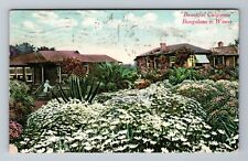 CA-California Bungalows in Winter Large Garden Scenic c1911 Vintage Postcard picture