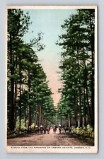 Camden SC-South Carolina, Drive From The Kirkwood, Antique, Vintage Postcard picture