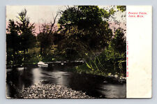 Scenic View of Ionia Michigan MI Postcard picture