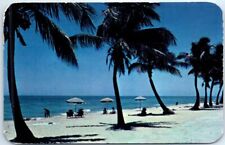Postcard - Sun-tanning - Florida picture