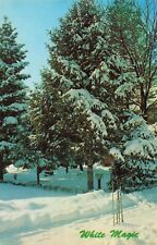Manchester NH New Hampshire, White Magic Snowy Winter Scene, Vintage Postcard picture