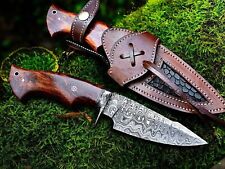 Premium Forged HUNTING KNIFE Damascus Steel Fixed Blade Skinner Bowie picture