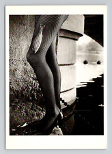 Postcard Fishnet Stockings Black & White Art Photography, Retro O20 picture