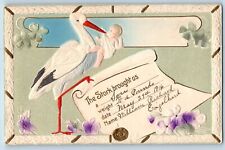 Stork Postcard Delivering Baby Airbrushed Clover Flowers Embossed c1910's picture