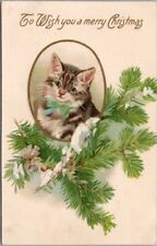 Vintage 1907 MERRY CHRISTMAS Embossed Postcard Tabby Kitten Cat / Pine Bough picture
