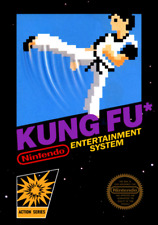 Kung Fu NES Nintendo 4X6 Inch Magnet Video Game Fridge Magnet picture