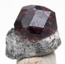 Alaskan Almandine Red Garnet Crystal Cluster Mineral Specimen Schist ALASKA picture