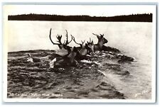 1942 View Of Caribou Yukon River Anchorage Alaska AK Posted Vintage Postcard picture