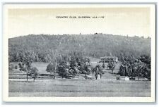 c1940's Country Club Plain Hills Grove Building View Gadsden Alabama AL Postcard picture