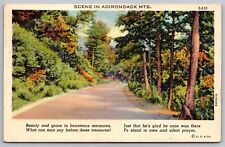 Adirondack Mountains Poem Country Road Street View Forest Linen WOB VTG Postcard picture