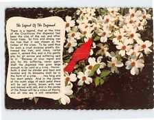 Postcard The Legend Of The Dogwood picture