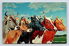 c1961 Five Queens Cow Breeds Hoards Dariyman Fort Atkinson Wisconsin WI Postcard picture