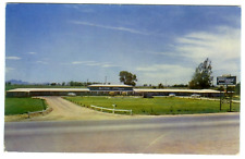California CA Blythe Travelodge Vintage Postcard picture