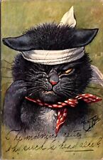 Arthur Thiele artwork Postcard Morning After Fight Cat Bandaged Up picture