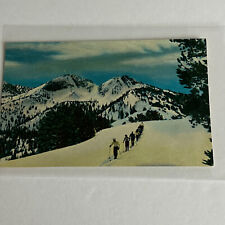 Anthony Lakes Skiing Blue Mountains Oregon Postcard picture