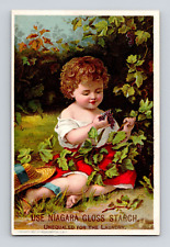 Victorian Trade Card Niagara Gloss Starch Boy Grapes Major Knapp NY picture