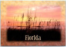 Postcard - Florida picture