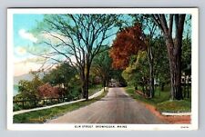 Skowhegan ME-Maine, Scenic Greetings, Elm Street in Fall, Vintage Postcard picture