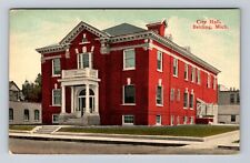 Belding MI-Michigan, City Hall, Antique, Souvenir, Vintage c1914 Postcard picture