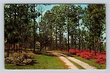 Ridgeland SC-South Carolina, Possum Corner Plantation, Vintage Souvenir Postcard picture