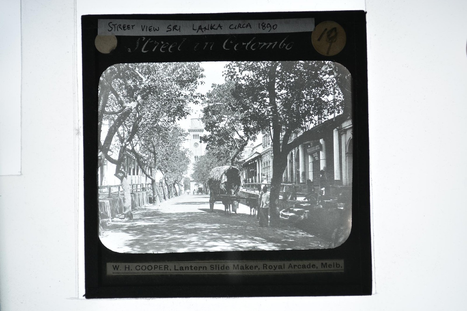 Street View Colombo Sri Lanka Bullock Cart WH Cooper Lantern Slide c1890s