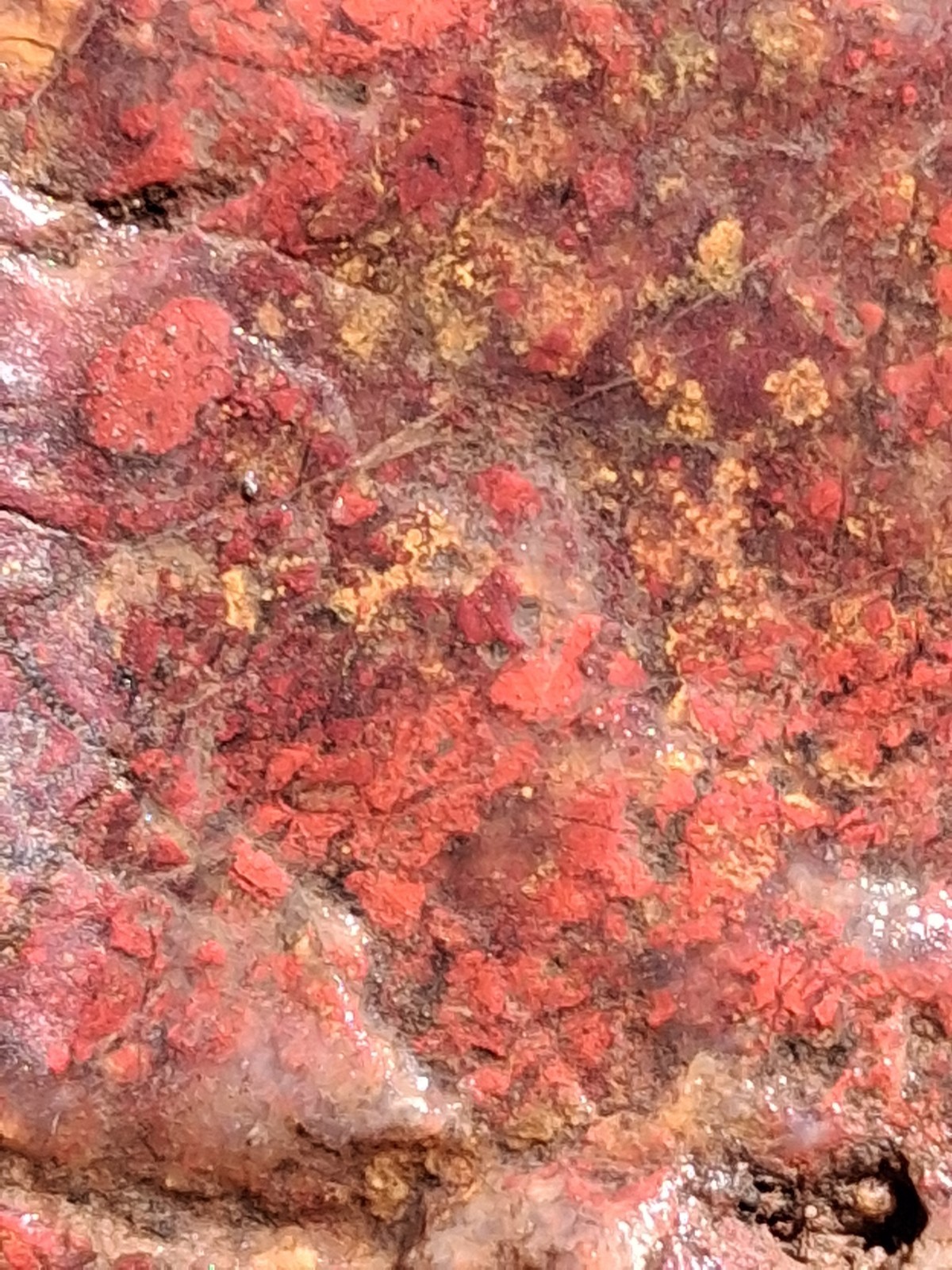 Myrickite Jasper Agate Cinnabar Guadalupe Old Stock 3 Pounds Rare Myrickite Jasper Agate Cinnabar Guadalupe Old Stock 3 Pounds Rare