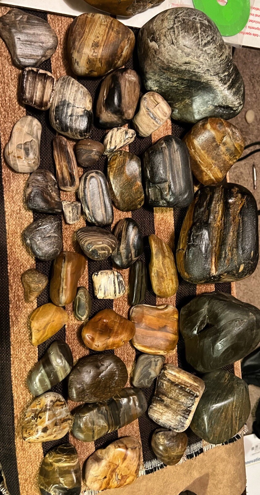 Yellowstone River Naturally Tumbled Petrified Woods Collection. 10+ Lbs Yellowstone River Naturally Tumbled Petrified Woods Collection. 10+ Lbs