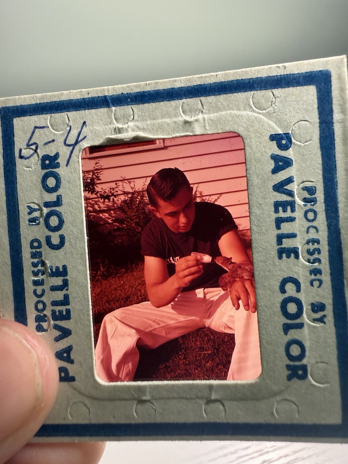 Lot of 35 1950’s Slides Lafayette & Branchville NJ New Jersey Parade Animals Lot of 35 1950’s Slides Lafayette & Branchville NJ New Jersey Parade Animals