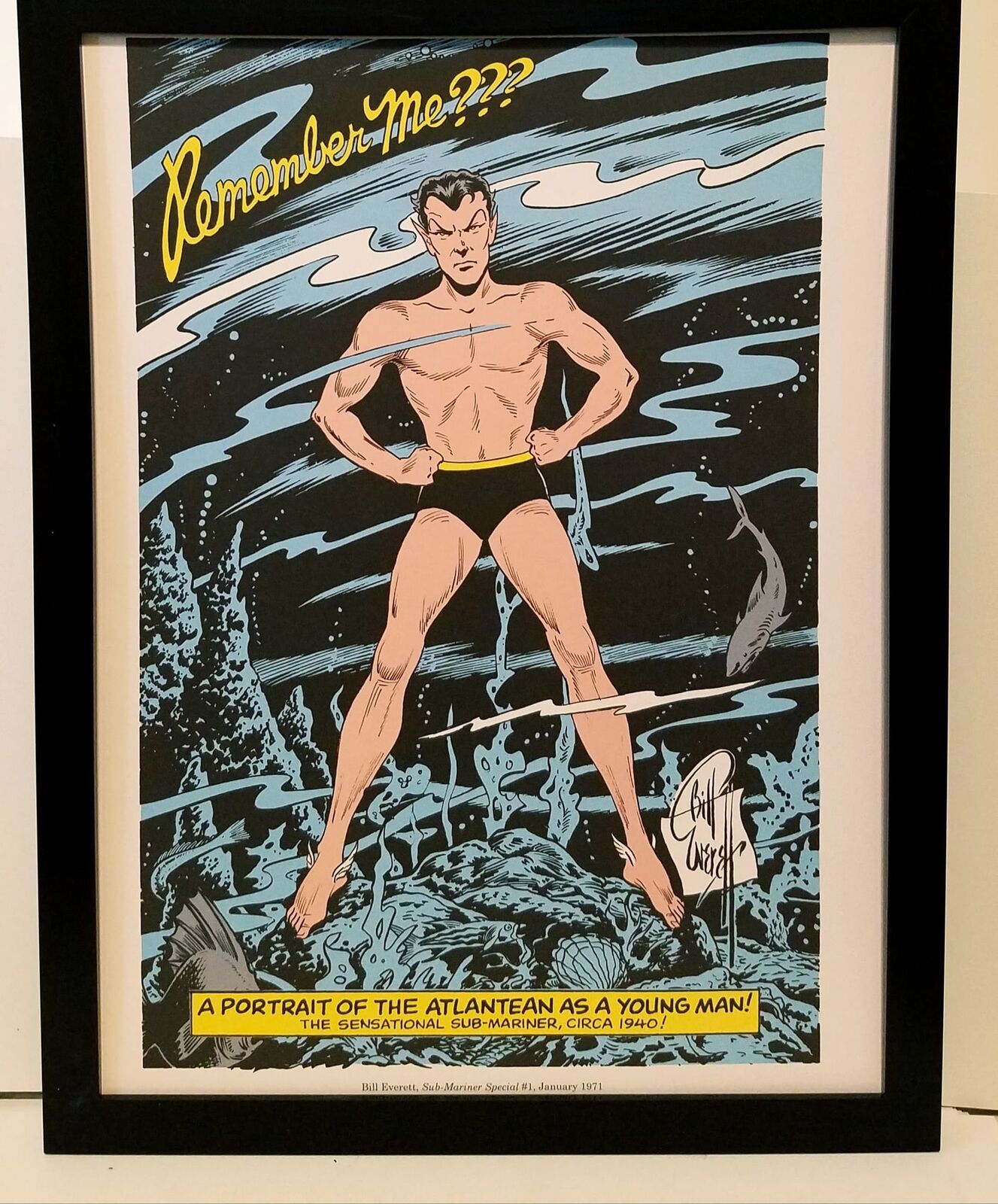 Namor the Sub-Mariner by Bill Everett 9x12 FRAMED Marvel Comics Vintage Art Prin