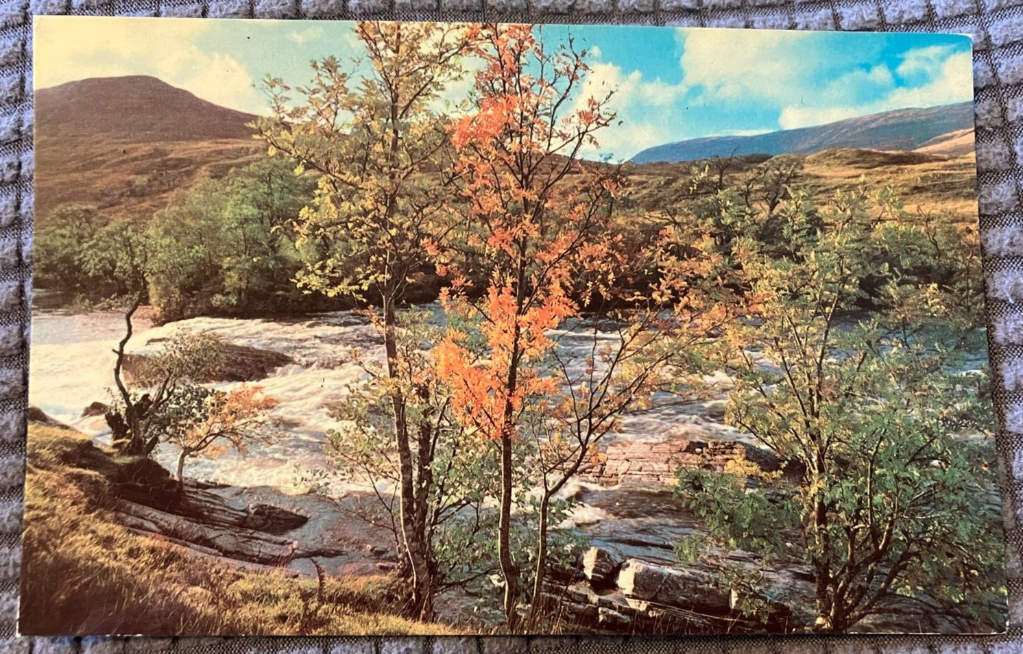 Vintage Postcard - Glen Orchy in the Caledonian Forest, Scotland - UNPOSTED