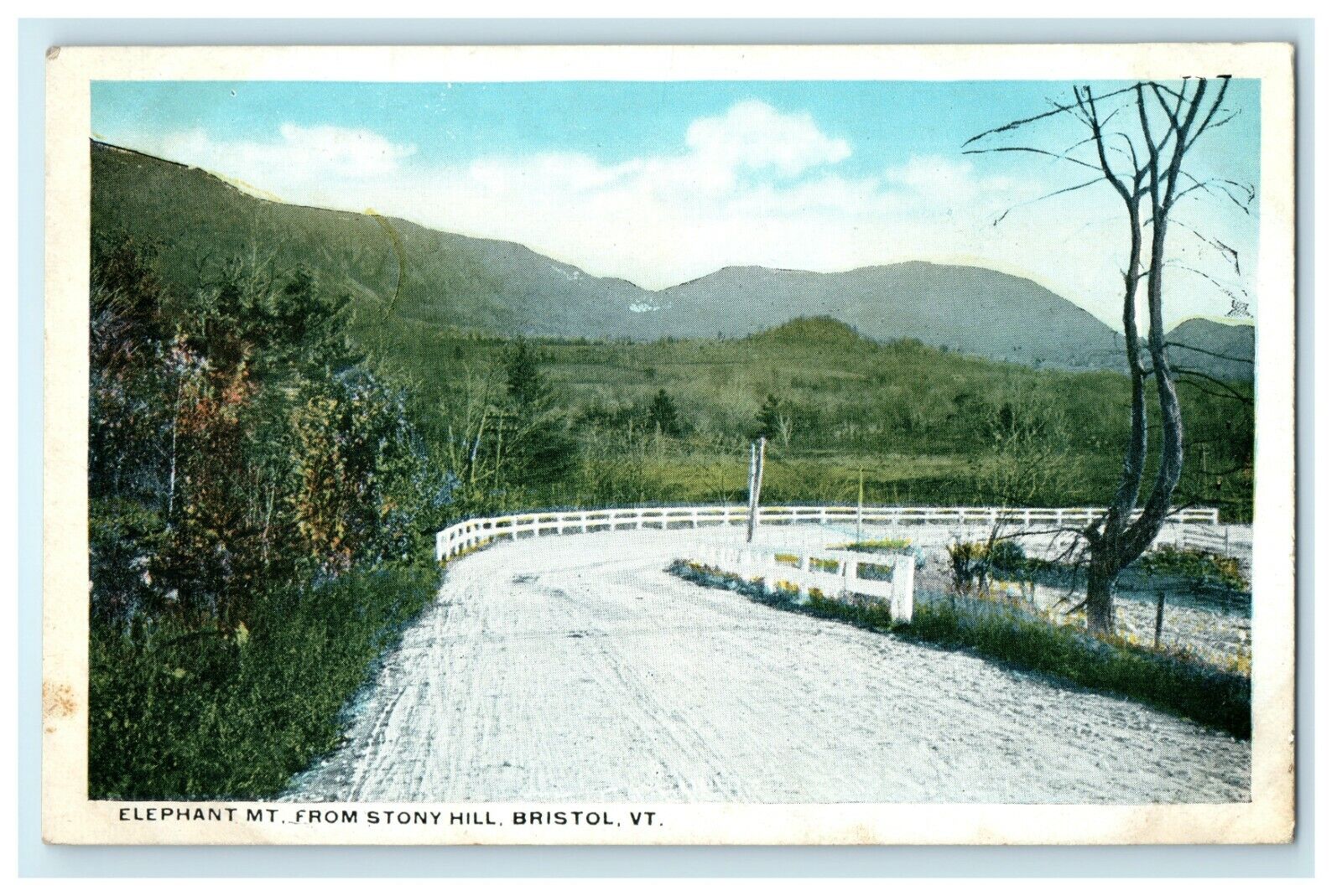 1911 Elephant Mount from Stony Hill, Bristol Vermont VT Antique Postcard