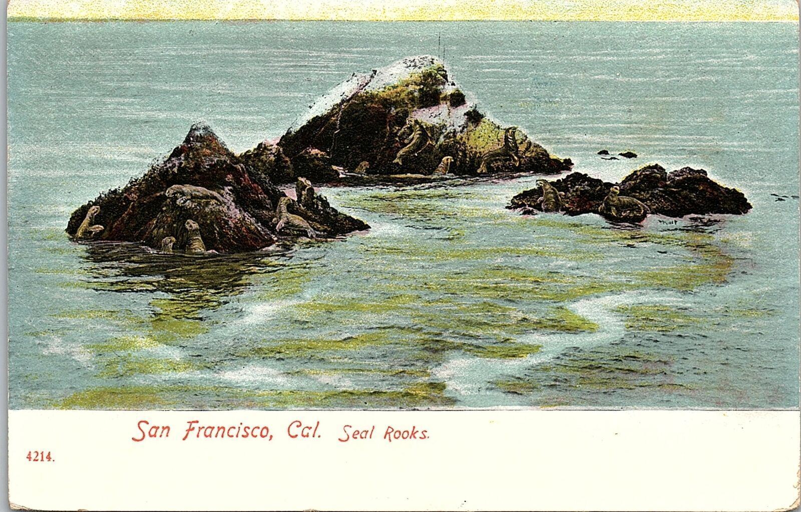1907 SAN FRANCISCO CALIFORNIA SEAL ROCKS EARLY POSTCARD 42-66