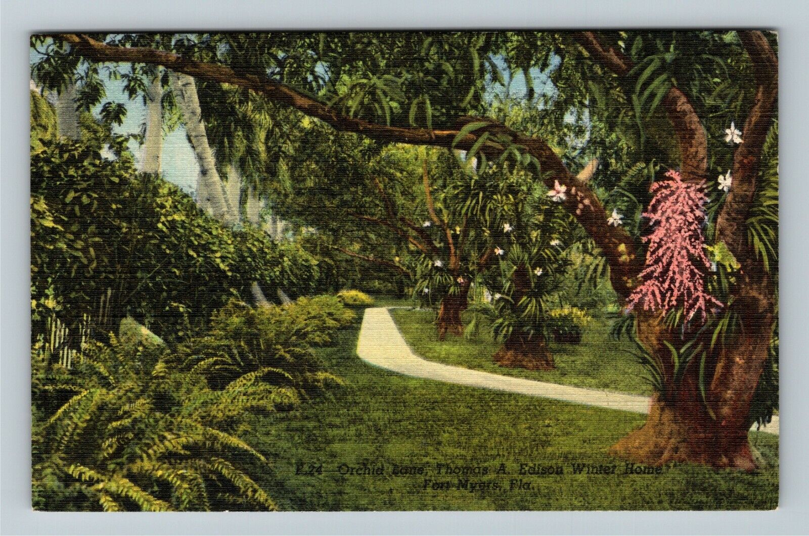 Fort Myers FL-Florida, Orchid Lane, Thomas Edison Winter Home, Vintage Postcard