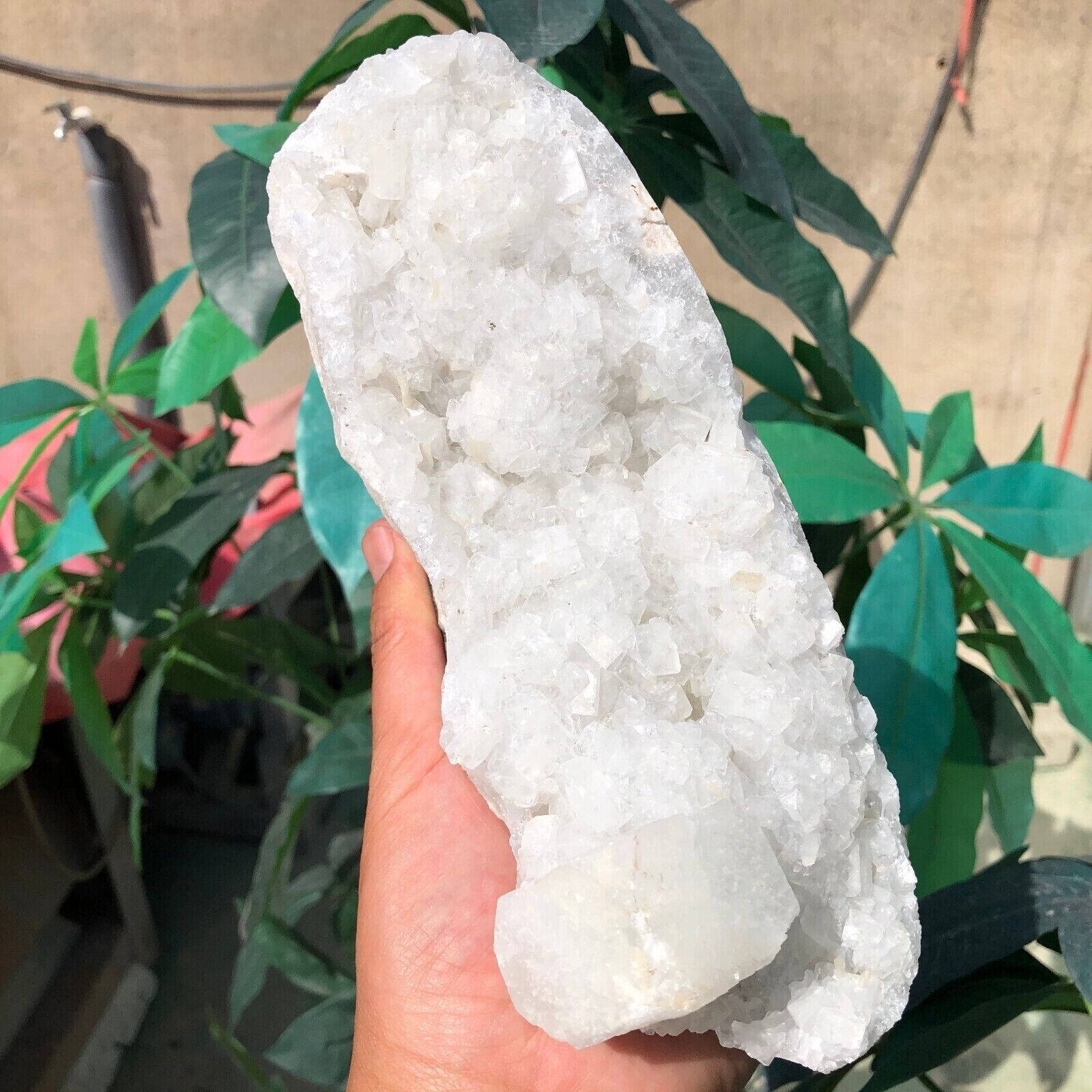 3.5 LB Natural White Calcite Quartz Crystal Cluster Mineral Specimen Healing