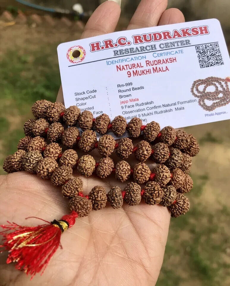 LAB CERTIFIED Rare 9 Mukhi RUDRAKSHA Rudraksh Mala ROSARY 108+1 Prayer Beads
