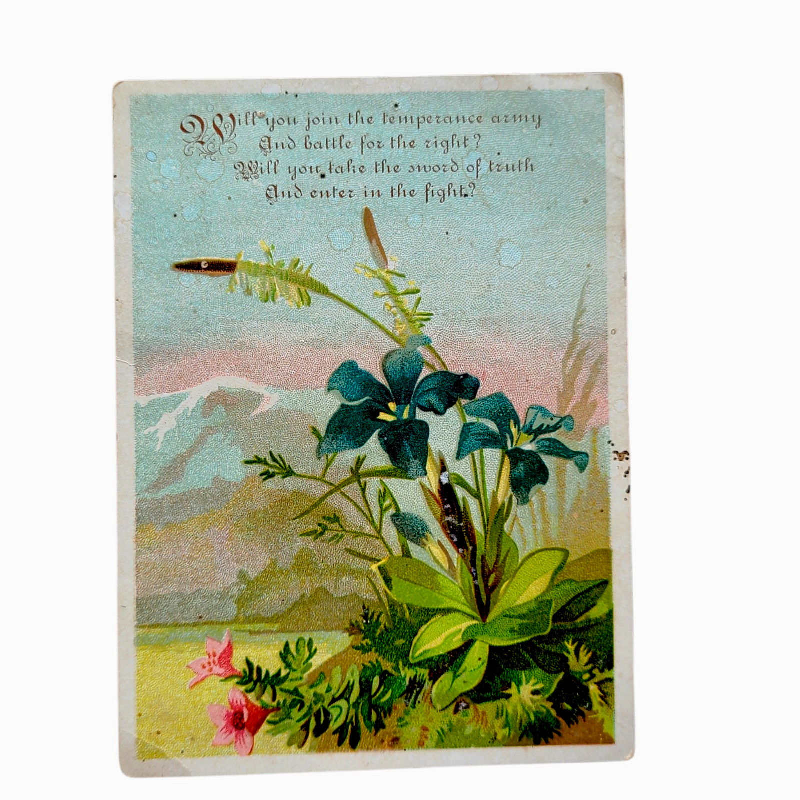Vintage Temperance Army Invitation to Join 1880s 1890s Vintage Temperance Army Invitation to Join 1880s 1890s