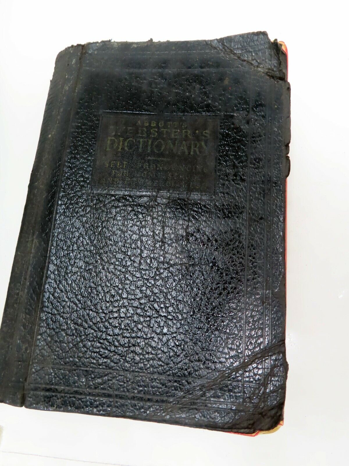 Vintage Book Webster's Common School Dictionary 