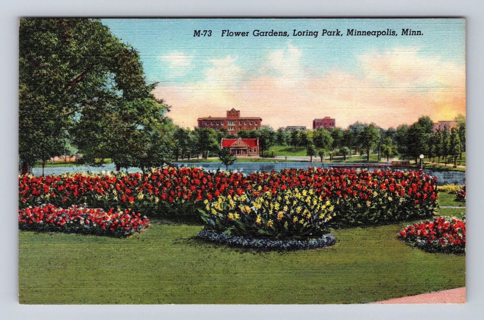Minneapolis MN-Minnesota, Flower Gardens, Loring Park, Antique Vintage Postcard