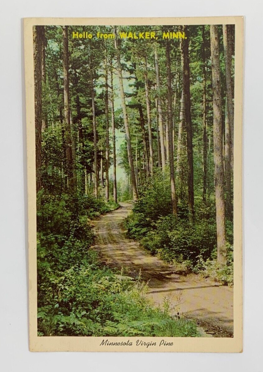 Hello from Walker Minnesota Scenic Trail Through Minnesota Virgin Pine Postcard